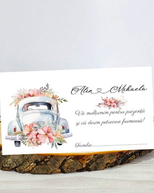 Plic de bani Just Married