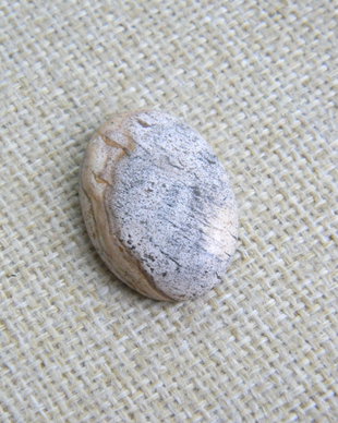 Caboson picture jasper (C14)