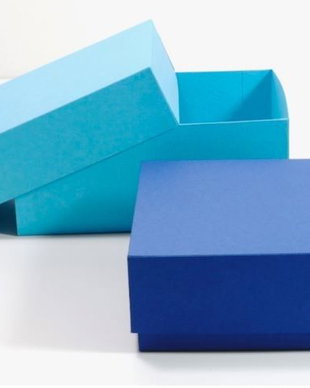 Cutiute carton. Cutii cu capac