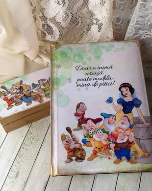 agenda personalizata pentru invatatoare, educatoare - tema pitici