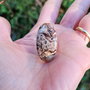 Inel Agata root plume si Argint 925 - IN1304 - Inel pietre semipretioase, inel maro reglabil, inel statement, cadou sotie, inel cadou, bijuterii cadou, bijuterii agate, cristale vindecatoare, cristaloterapie, cristale de colectie