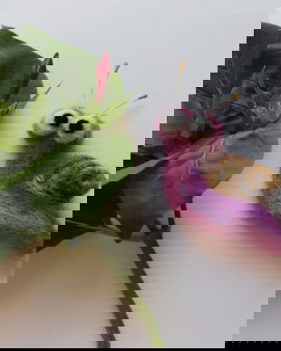 Brosa/ornament `Melc`