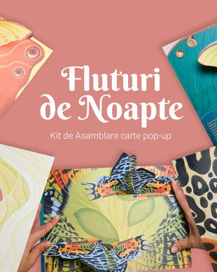 Kit de asamblare carte 3D - Fluturi de Noapte Color