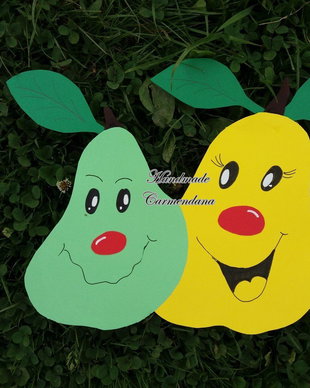 Decoratiune pavoazare clasa