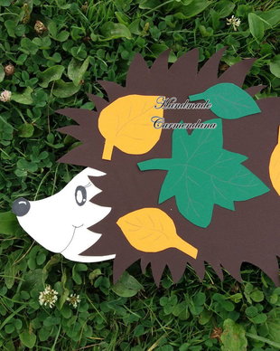 Decoratiune pavoazare clasa