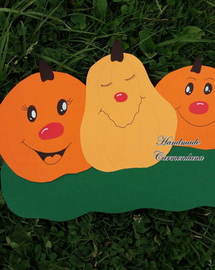 Decoratiune pavoazare clasa