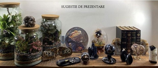 Cristale/Minerale - Septaria - set pietre specimen