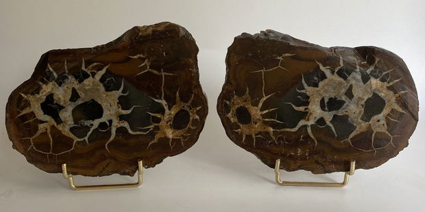 Cristale/Minerale - Septaria - set pietre specimen