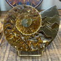 Cristale/Minerale - Fosila Amonit - decoratiune Amonit
