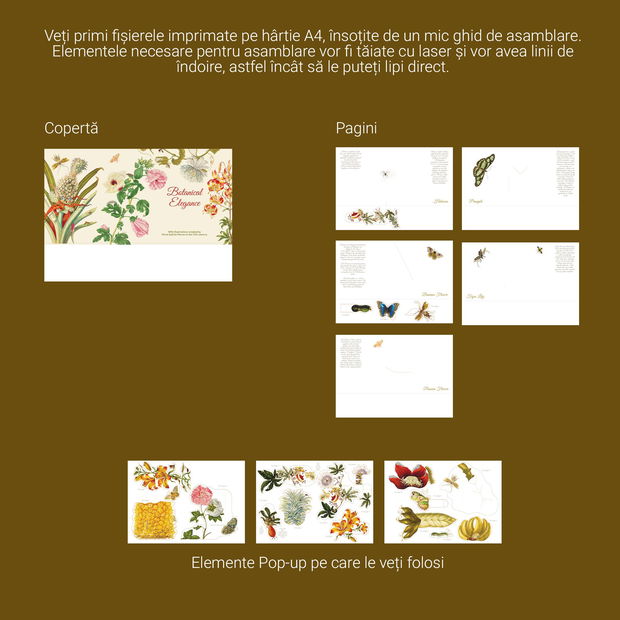 Kit de asamblare carte pop-up - Flori Vintage