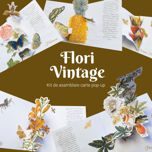 Kit de asamblare carte pop-up - Flori Vintage