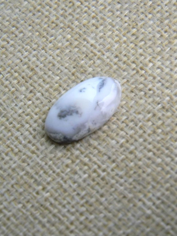 Caboson opal dendritic (PGA 5-1)