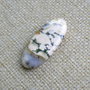 Caboson opal dendritic (PGA 5-1)
