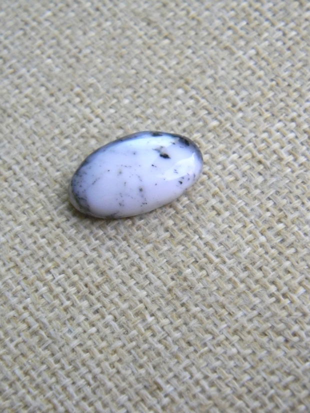 Caboson opal dendritic (PGA 5-1)