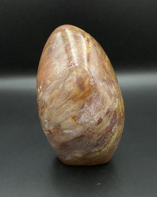 Lemn Pietrificat (Fosilizat) - Sculptura piatra semipretioasa