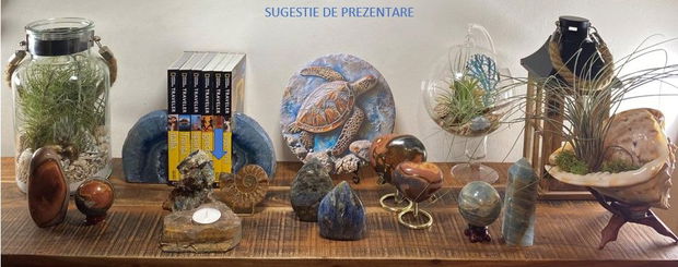 Azurit/Ochi de Tigru/Amonit - set decorativ