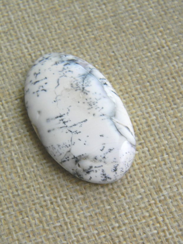 Caboson opal dendritic (C23)