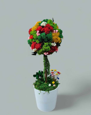 Copacel cu licheni stabilizati, multicolor, H37 cm