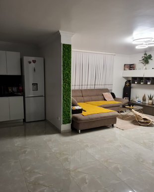 Tablou licheni naturali si stabilizati, licheni decorativi