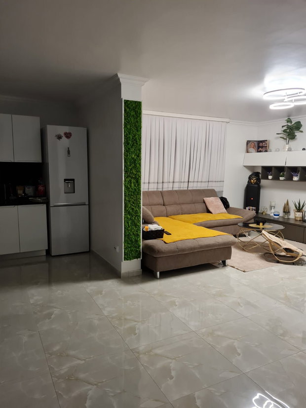 Tablou licheni naturali si stabilizati, licheni decorativi