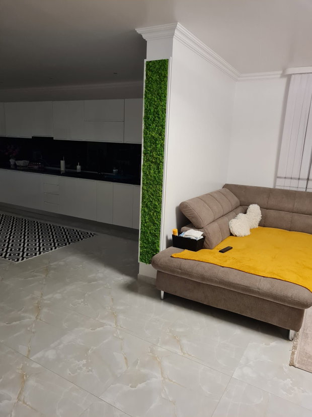 Tablou licheni naturali si stabilizati, licheni decorativi