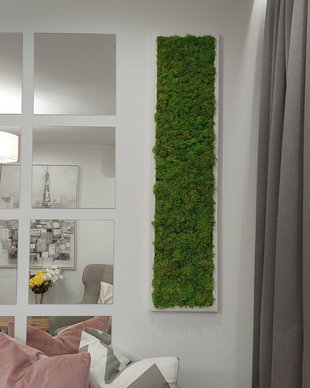Tablou licheni naturali si stabilizati, licheni decorativi