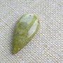 Caboson opal verde (F50-1)