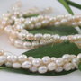Perle cultura 5.5-6x5-5.5mm, cod ID18 (0.5sir)
