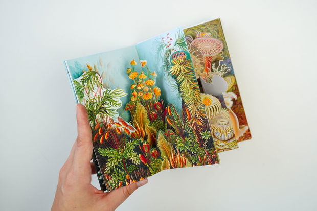 Carte 3D cu Ilustrații vintage de Ernst Haeckel