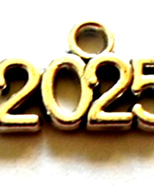 Charm metalic 2025 argintiu