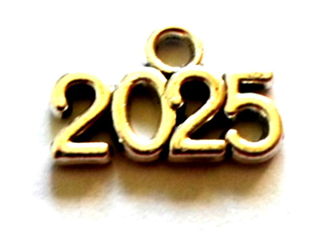 Charm metalic 2025 argintiu