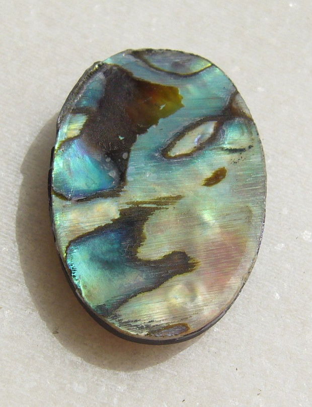 Cabochon din scoica paua abalone naturala acoperita cu un strat protector din rasina aprox 30x20x5 mm