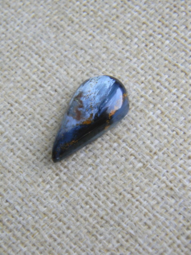 Caboson pietersit (F51-1)