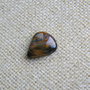 Caboson pietersit (F51-2)