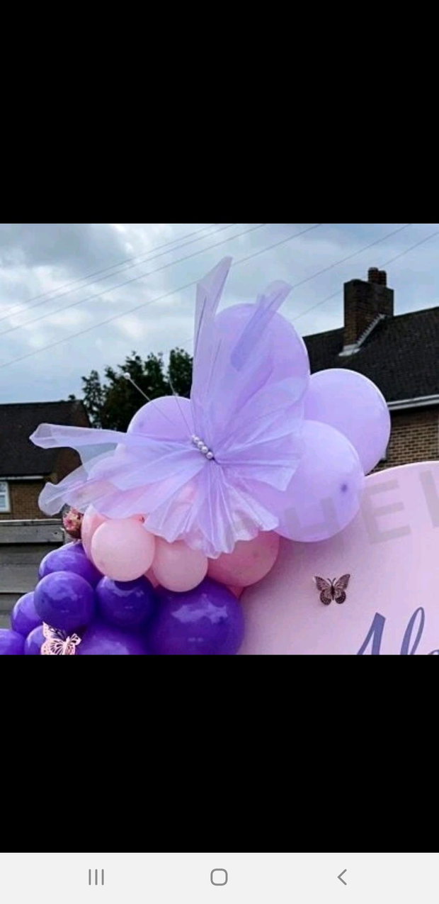 Fluturi decorativi evenimente