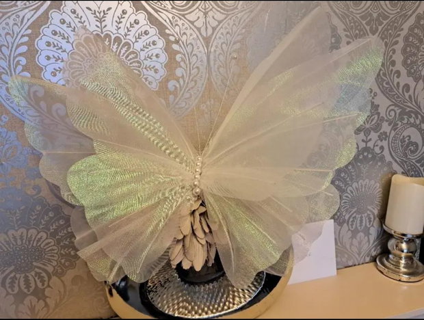 Fluturi decorativi evenimente