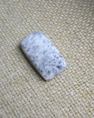 Caboson opal dendritic (F42-1)
