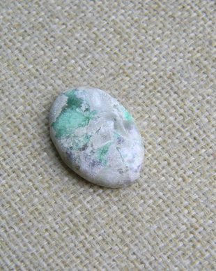 Caboson variscit (F42-1)