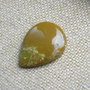Caboson opal verde (F42-1)