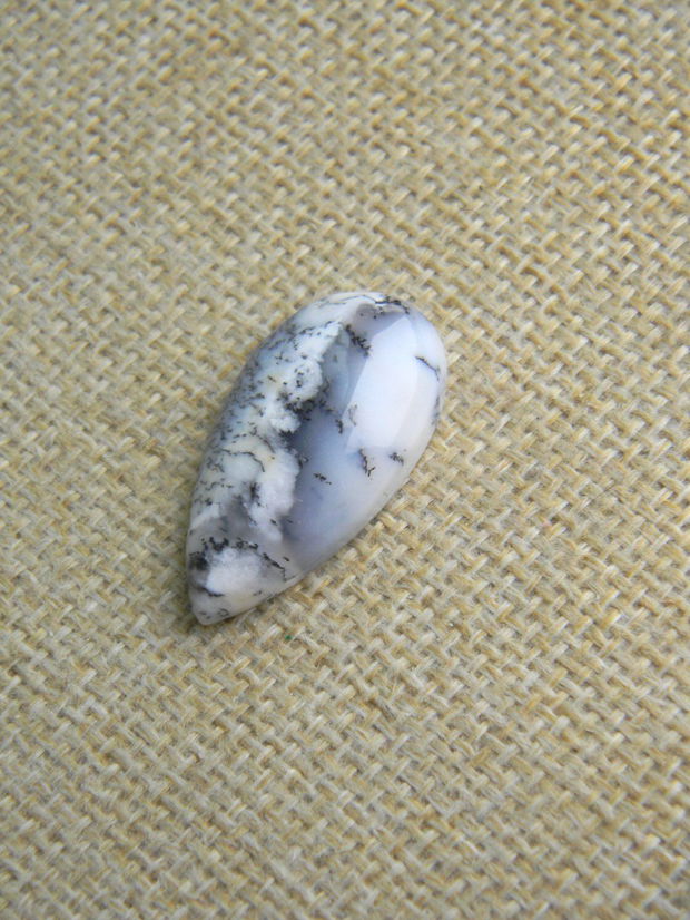 Caboson opal dendritic (F46-1)