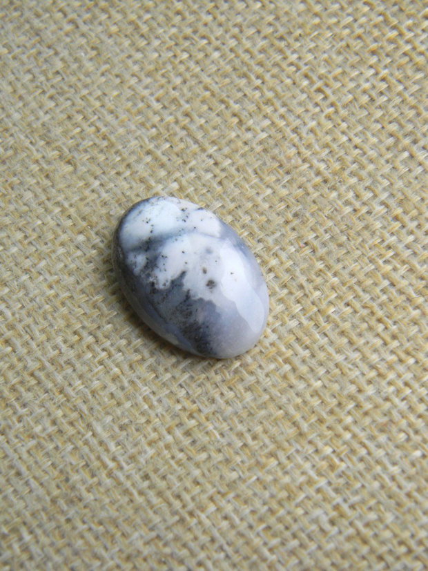 Caboson opal dendritic (F46-1)