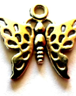 Charm metalic fluture rama argintiu