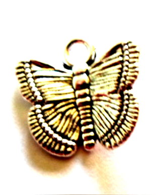 Charm metalic fluture argintiu