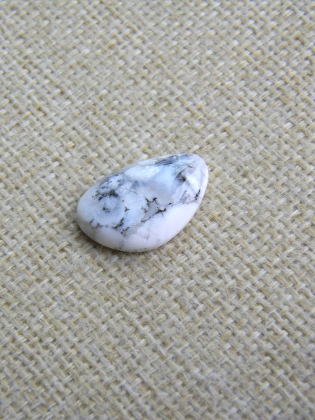 Caboson opal dendritic (F51-2)