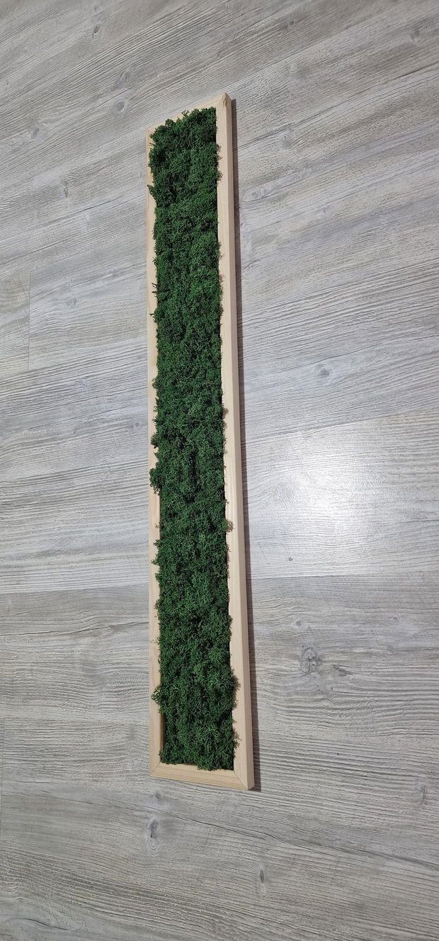 Tablou licheni naturali si stabilizati, licheni decorativi