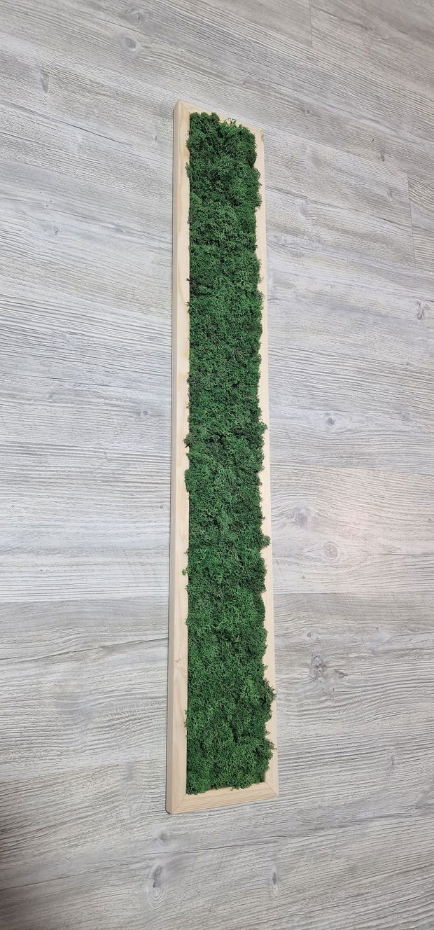 Tablou licheni naturali si stabilizati, licheni decorativi