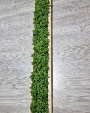 Tablou licheni naturali si stabilizati, licheni decorativi