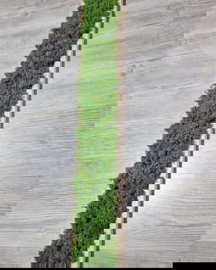 Tablou licheni naturali si stabilizati, licheni decorativi