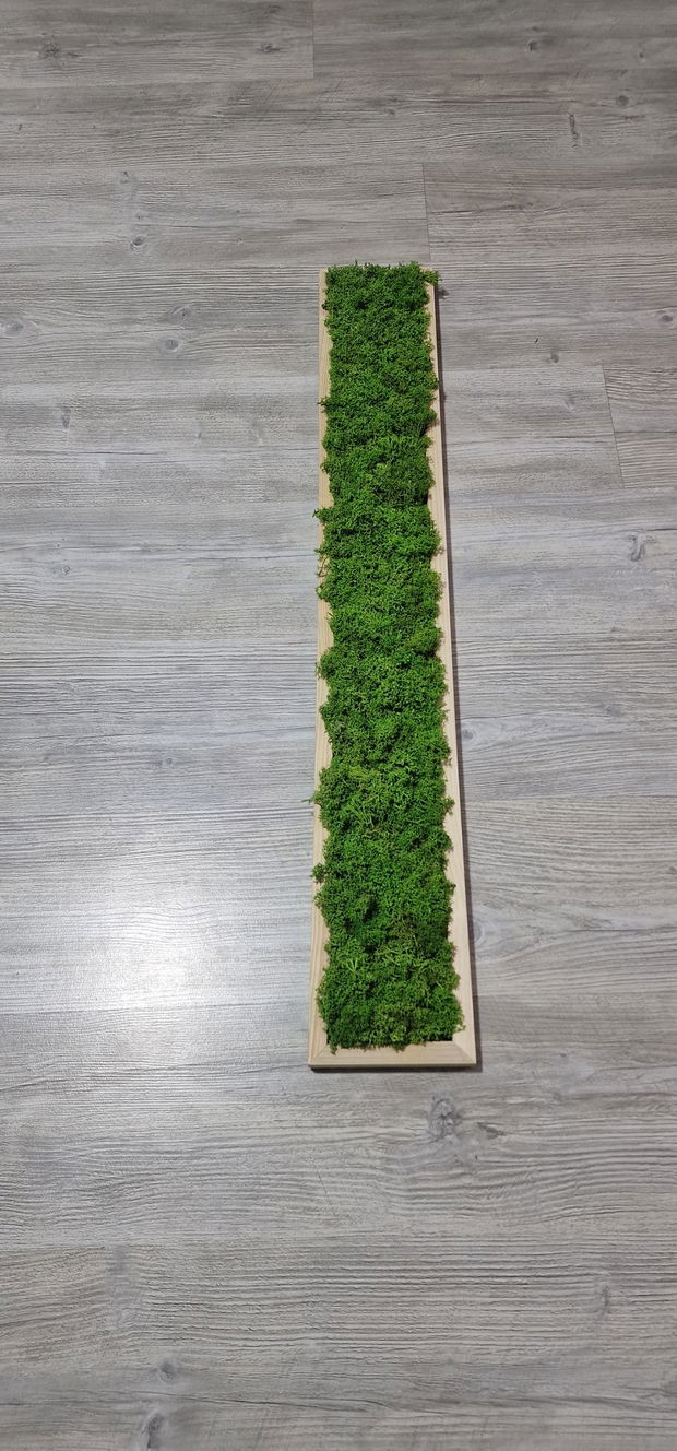 Tablou licheni naturali si stabilizati, licheni decorativi