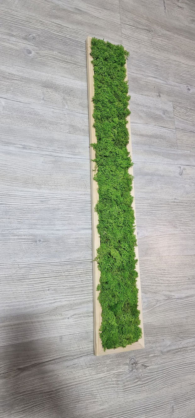 Tablou licheni naturali si stabilizati, licheni decorativi